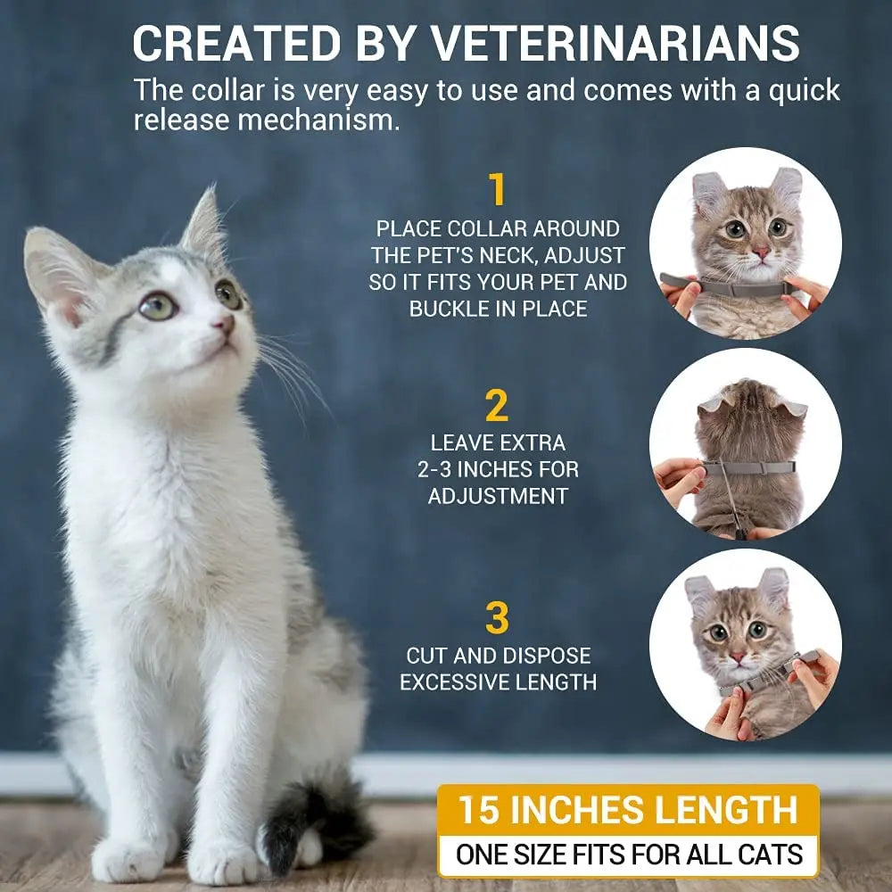 Dog Anti Flea Collar