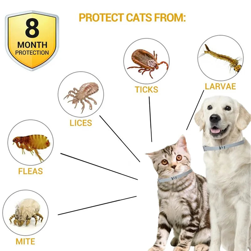 Dog Anti Flea Collar