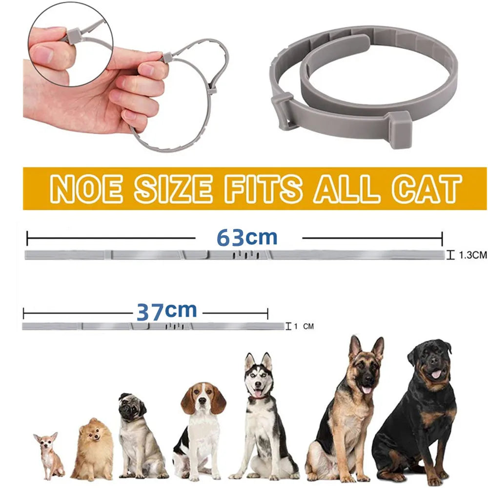 Dog Anti Flea Collar