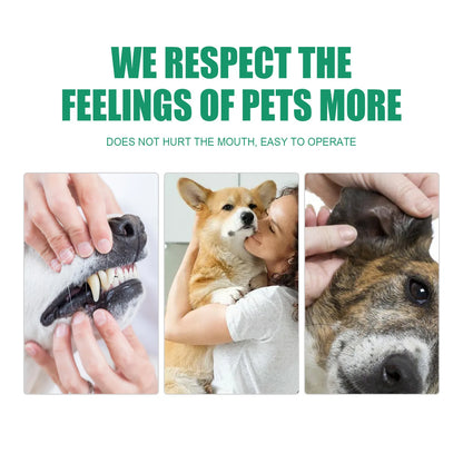 Dogs Cochlear Cleaning
