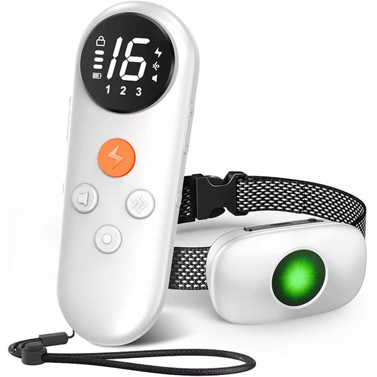 Rechargeable Training Collar